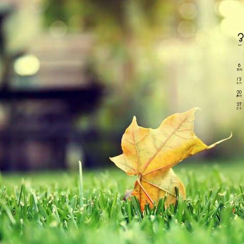 “温暖三月，你我前行”