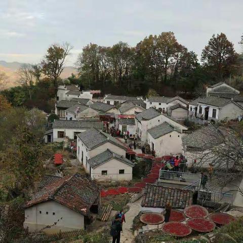秋游皖南