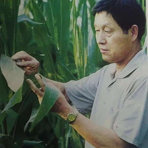 听太爷讲他过去的事情——国庆节拜访老专家