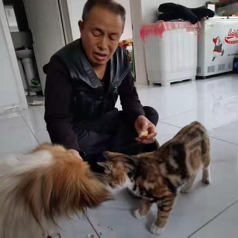 忆老爸（组诗）