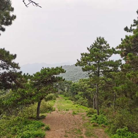 雨中向老庄