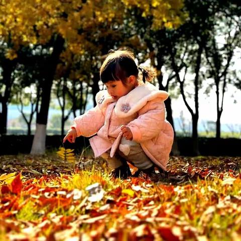 题图：四季皆画诗