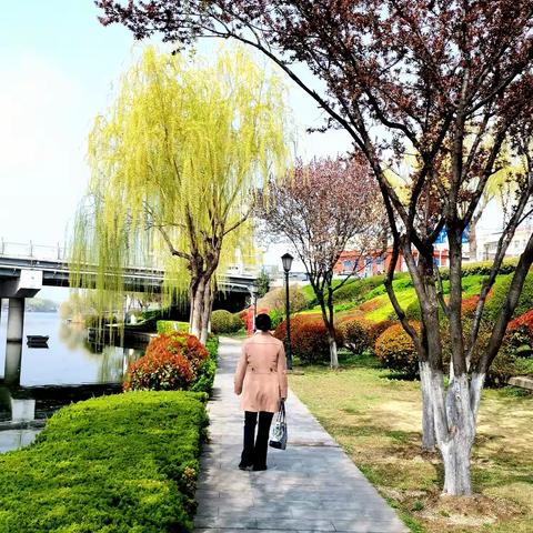 【诗】家乡游春一组