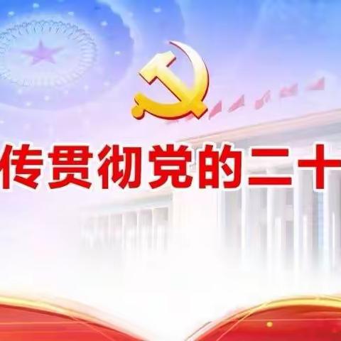 深入学习宣传贯彻党的二十大精神