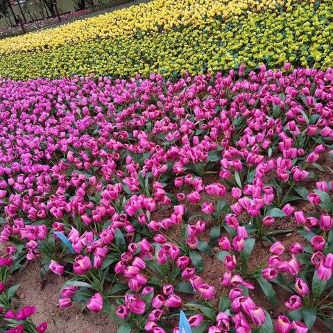 秋之韵，山庄之美