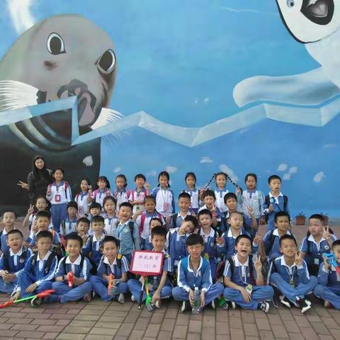 落叶的声音，美丽的十月