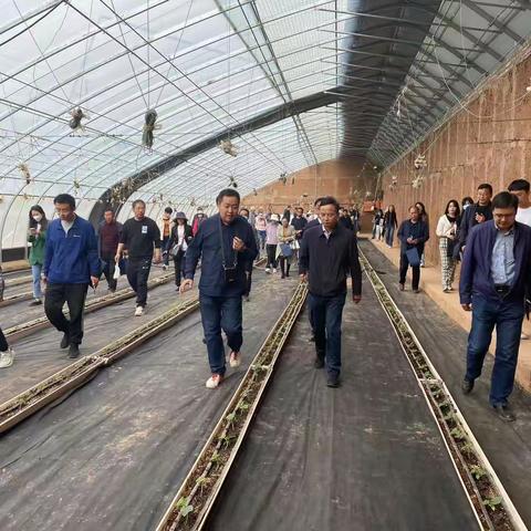 现场交流会，助力乡村振兴