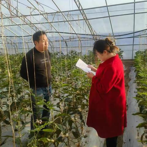 乐都区科技局三位领导到乐都区001号工作站进行考核