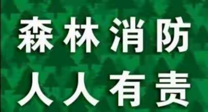 蒙仕幼儿园森林防火主题活动