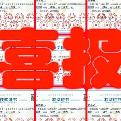 王庄镇初级中学2022年“山青之星”山东省青少年风采展示活动喜获佳绩