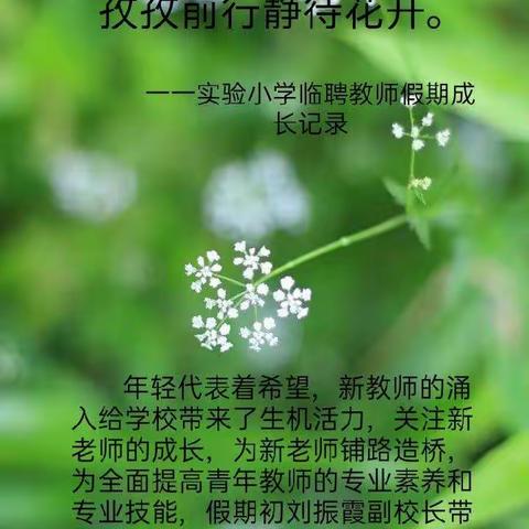 历练成长不负韶华，孜孜前行静待花开一一实验小学临聘教师假期成长记                            录。