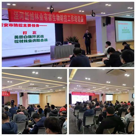 泾河新城举办2021年重大林业有害生物防控技术培训会