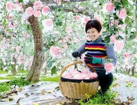 孩子，你认真学习的模样，最美！（副本）