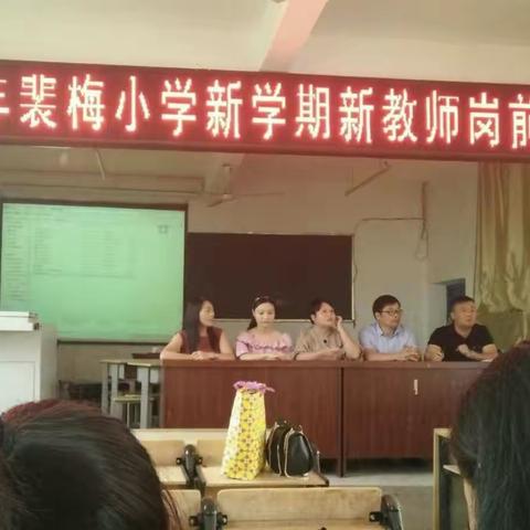 所看 所听 所思 所想