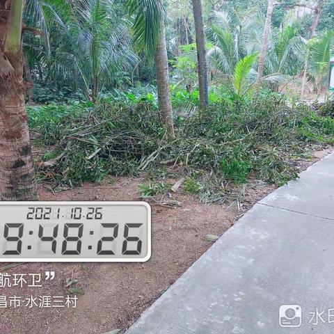 市环卫局对文昌市文城片区十一月份卫生死角综合整治验收