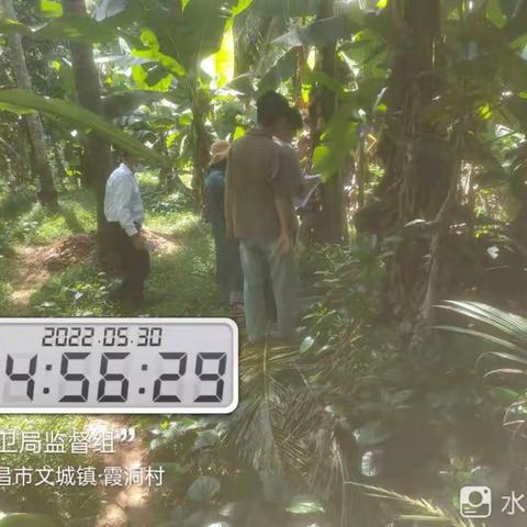 市环卫局对文昌市文城片区五月份卫生死角综合整治验收