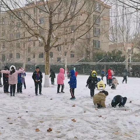 瑞雪盈校园 师生雪中情