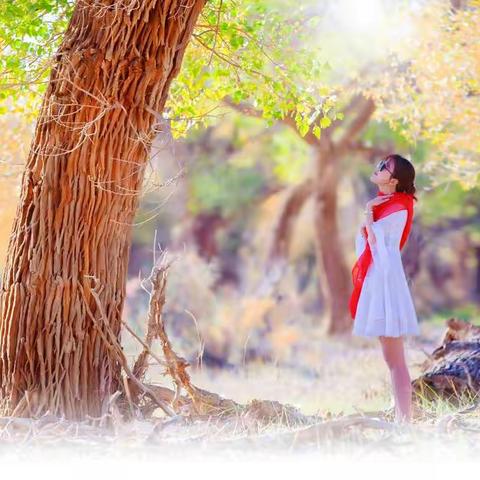 三千年的等待………