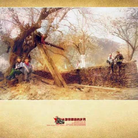 激情燃烧的岁月