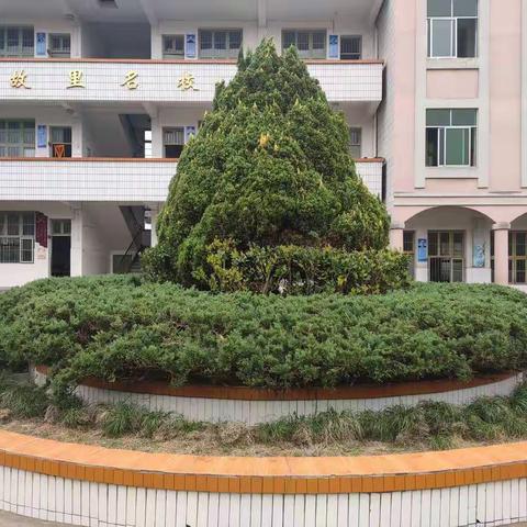 激情岁月，书写华丽篇章（粟裕希望小学第十一周值周总结）