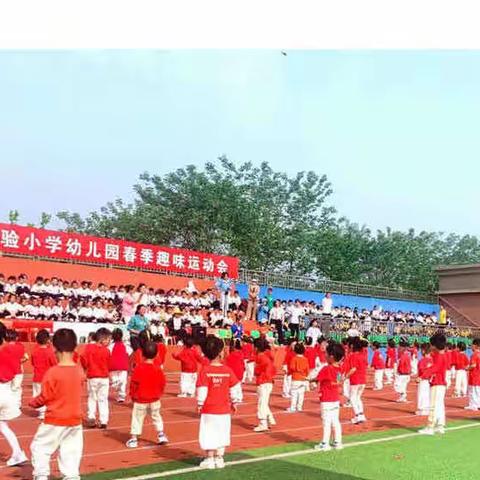 快乐“趣”运动，一起向未来——驻马店第二实验小学幼儿园——小一班