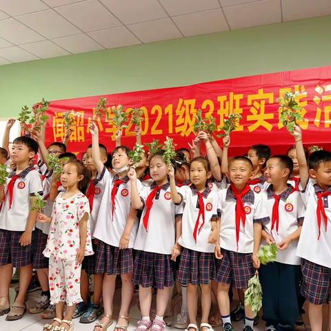 传承家国情怀，品药香做香囊——闻韶小学2021级3班2023端午研学活动小记