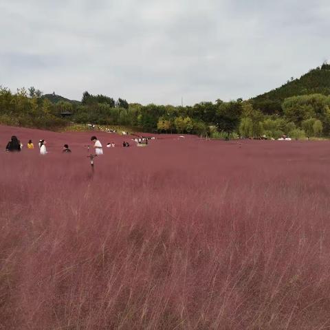 永不言弃的美篇