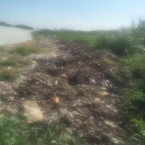 路内村:突出重点强化措施深化整治