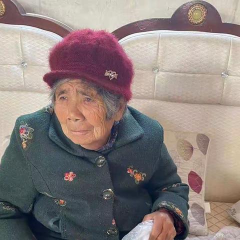 洪范池镇：冬日温情服务，让老年人独居不孤独！