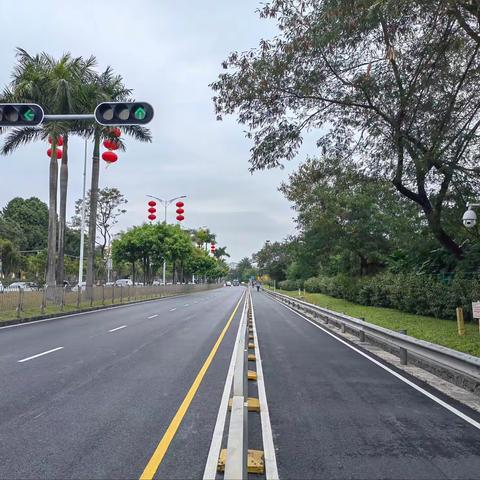 迅速完成洲石路（康学路至彩绘路路段）道路设施综合提升工作