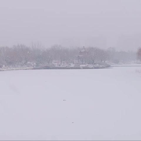 寒冬飘雪日 扫雪暖人心--商河县住建局全力开展园林绿化清雪行动