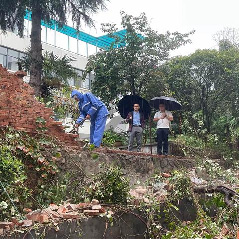 雨后重建搭造“安全屏障”