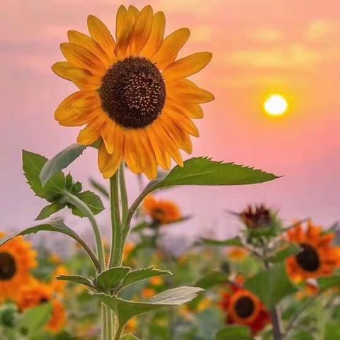 我的成长纪念册