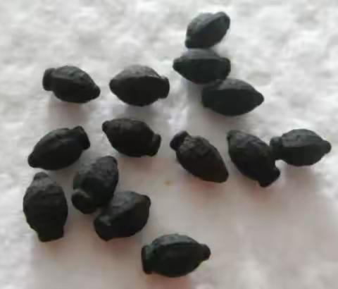 戴朝飞/戴旸的美篇