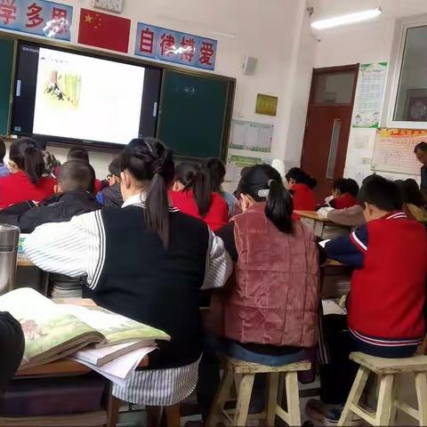 同课异构 精彩纷呈——教研活动记实