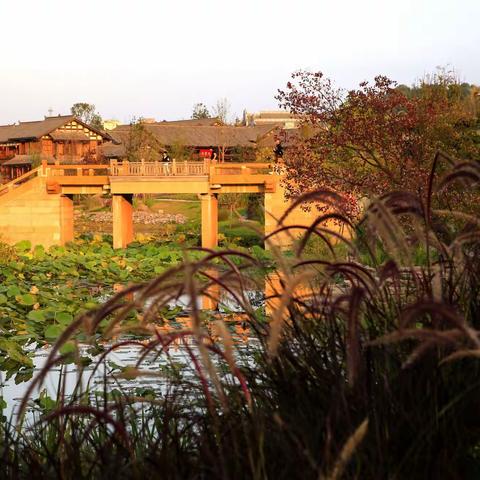 《古镇夕阳》2022.10.30拍于李庄月亮田