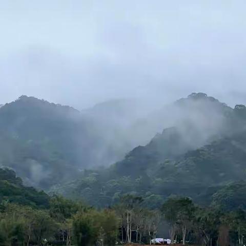 雨雾尖峰岭