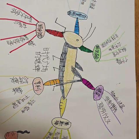 泗洪县实验学校四升五暑假第六周好作业