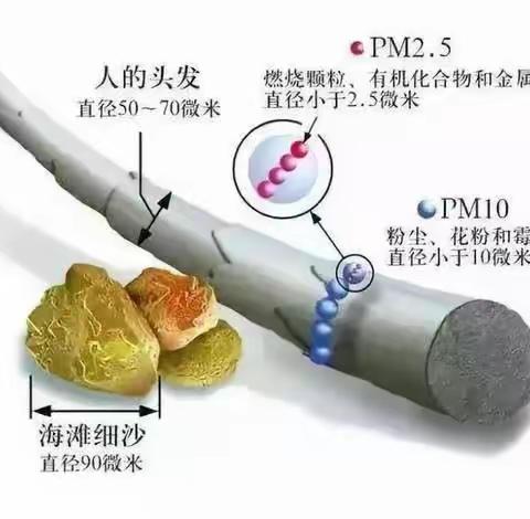 我们吸入的空气和呼出的空气