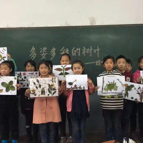 高红小学四一班：多姿多彩的树叶