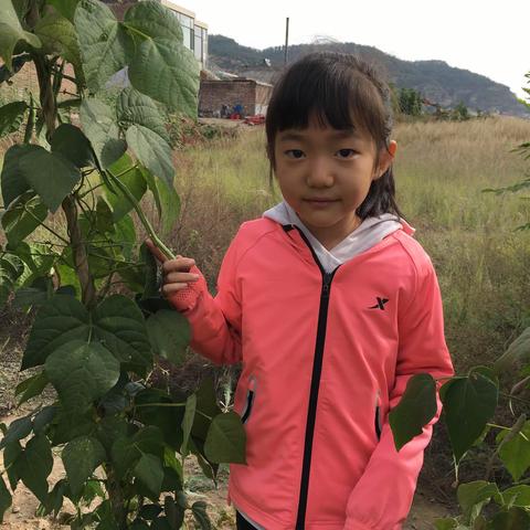 秋姑娘来了，秋天的天空，万里无云，秋高气爽。我们去田里感受一下农民伯伯丰收的喜悦吧！