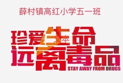 薛村镇高红小学五一班《珍爱生命、远离毒品》活动剪影