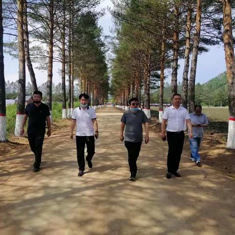 地区管护区经济办公室深入松岭林业局调研（副本）