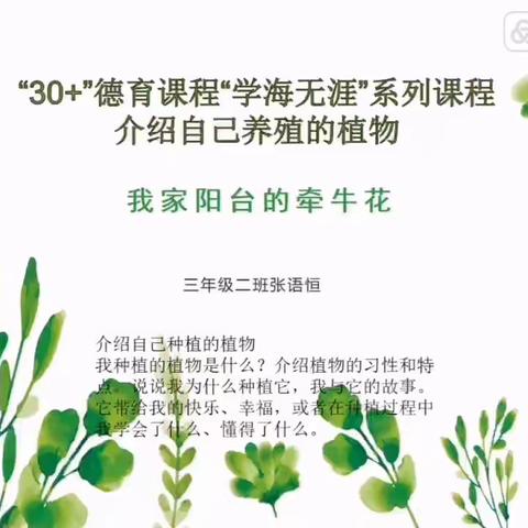 “30+”德育课程“学海无涯”系列课程介绍自己养殖的植物—我家阳台的牵牛花