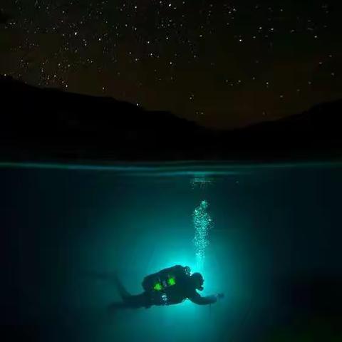 寻找生命之光_2018年4月11日有感