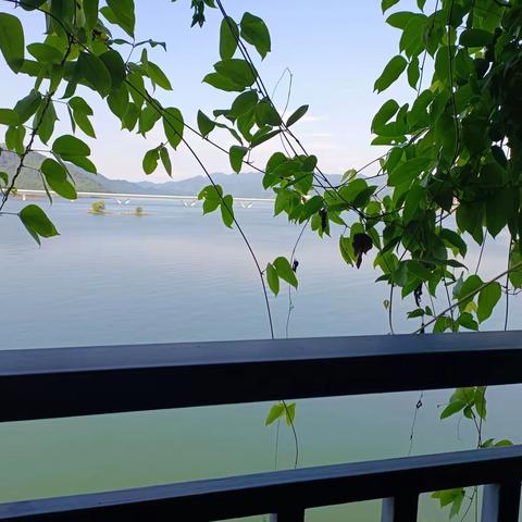 ♥只要心情美丽，风景无处不在