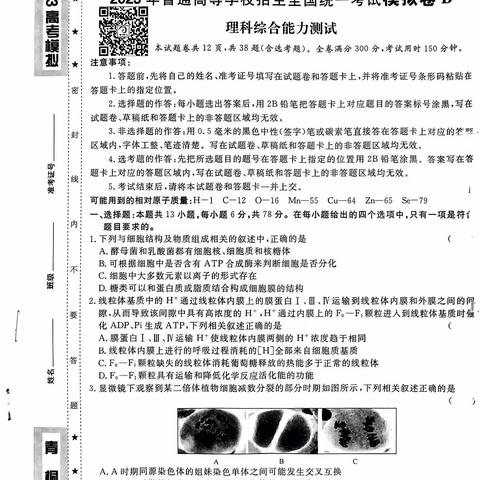 2023年普通高等学校招生全国统一考试模拟卷B青桐鸣