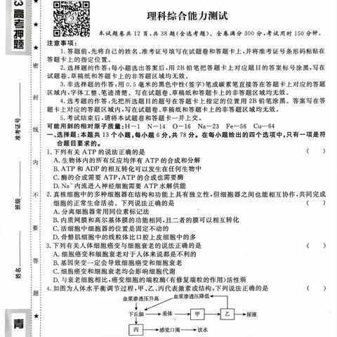 2023年普通高等学校招生全国统一考试押题卷（三）青桐鸣押题卷理综物理