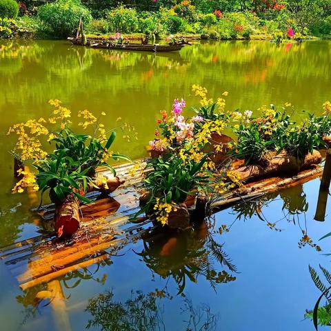 深圳的公园儿……！