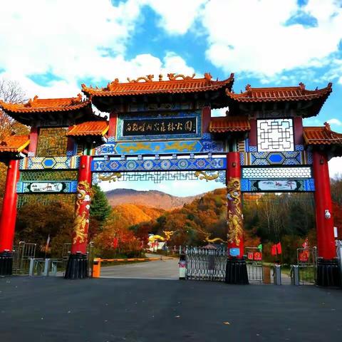 迟到啦……！😊